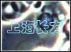 B淋巴细胞