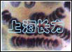 钱串样红细胞