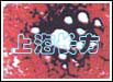 盆腔区ROTS块