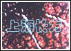 钙磷比例失调