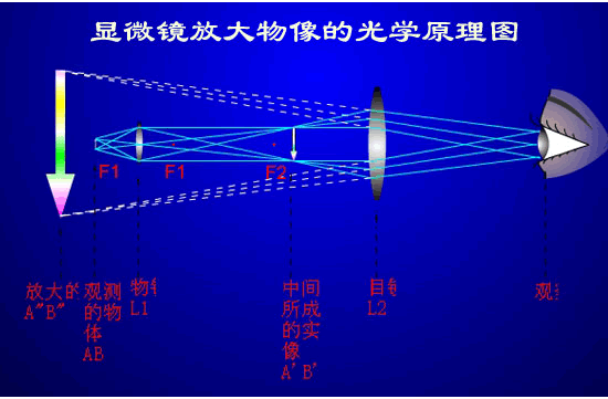 显微镜成像仪